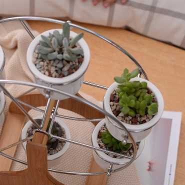 Ensemble grande roue et 6 pots en céramique - 4 Ensemble grande roue et 6 pots en céramique - 4