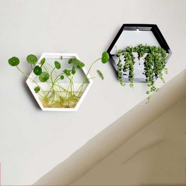 Wall pot with transparent glass - 1