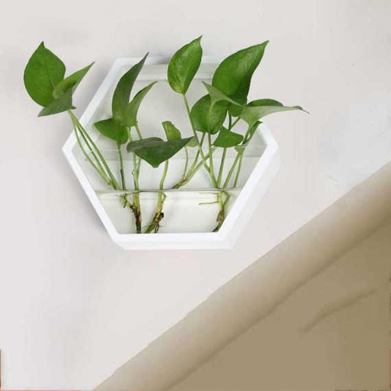 Wall pot with transparent glass - 3