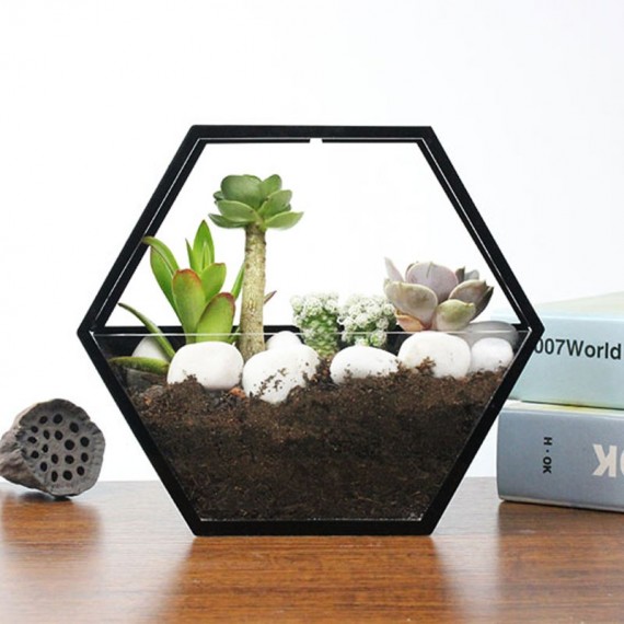 Wall pot with transparent glass - 5