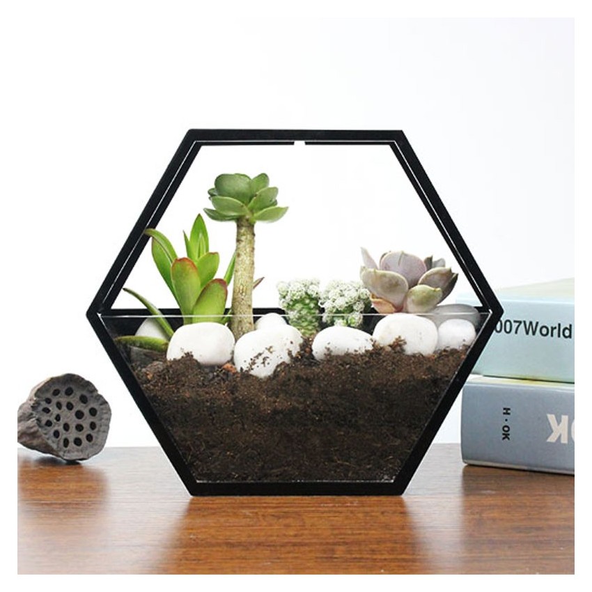 Wall pot with transparent glass - 5