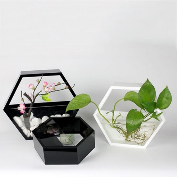 Wall pot with transparent glass - 6