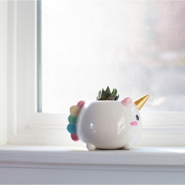 Magic unicorn flower pot! - 4