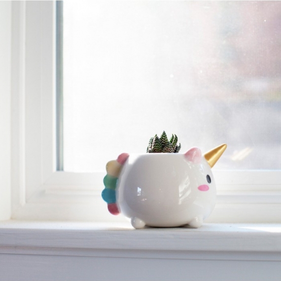 Magic unicorn flower pot! - 4