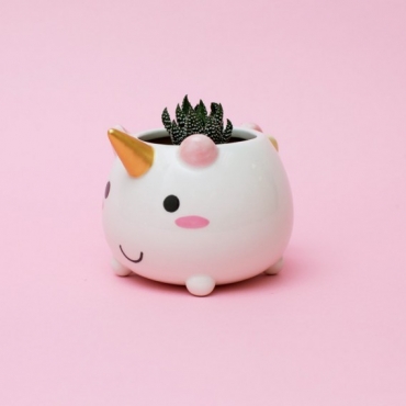 Magic unicorn flower pot! - 2