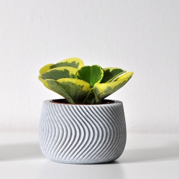 "Waves" pot - 3 "Waves" pot - 3