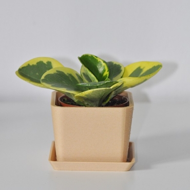 Single square pot - 1