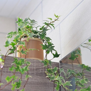 Bao - Pot en bois design - 3