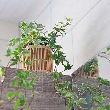 Plant pot Bao sur cache-pot.fr