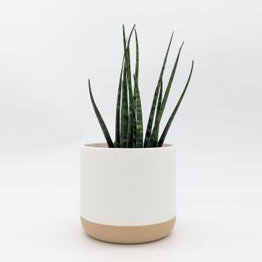 White Wood Planter Cover sur cache-pot.fr