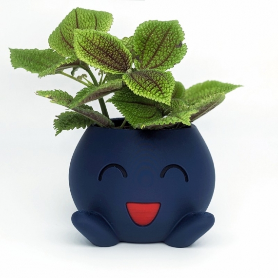 cache pot mystherbe