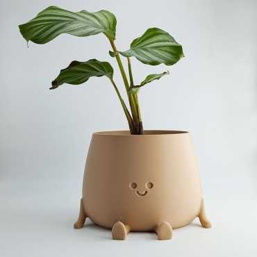 Macetero feliz sur cache-pot.fr