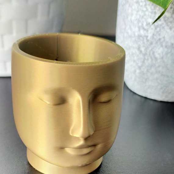 Serenity planter sur cache-pot.fr