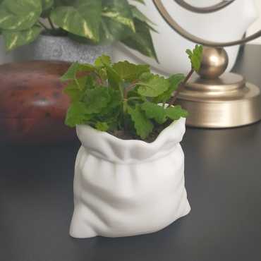 Cache-pot Sacapatate sur cache-pot.fr