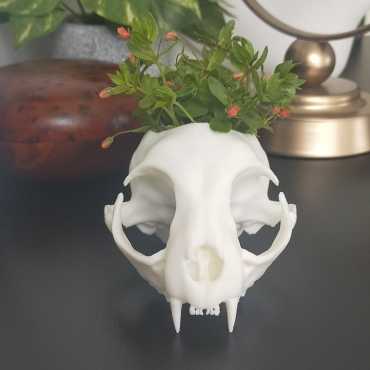 Memento Meowi Planter Pot sur cache-pot.fr