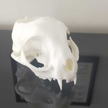 Memento Meowi Planter Pot sur cache-pot.fr