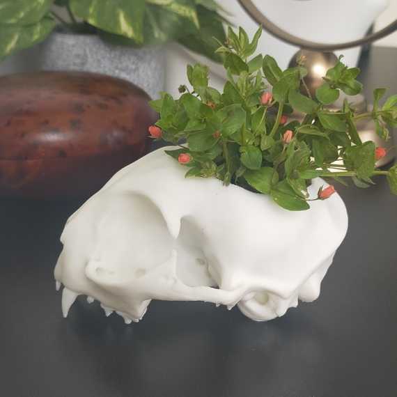 Maceta decorativa Memento Meowi sur cache-pot.fr