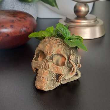 Übertopf Octoskull sur cache-pot.fr