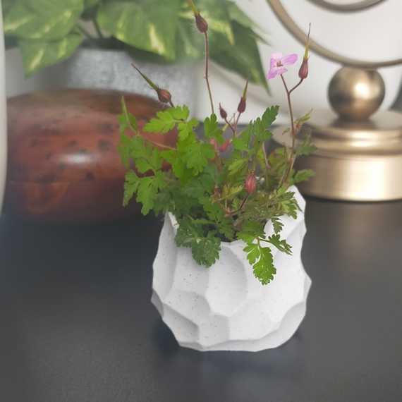 Lito Planter Cover sur cache-pot.fr