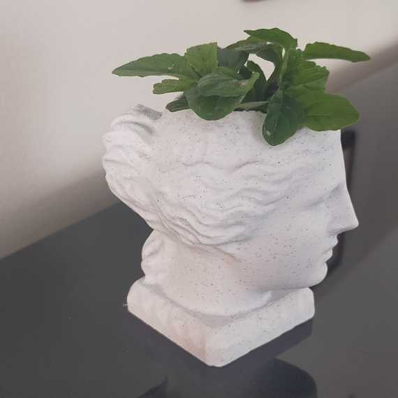 Übertopf Venus sur cache-pot.fr