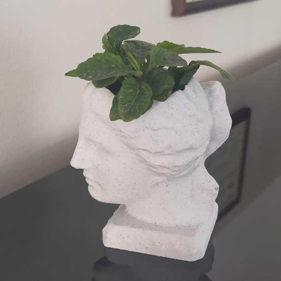 Sierpot Venus sur cache-pot.fr