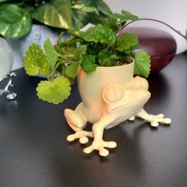 Cache-pot Froggy sur cache-pot.fr