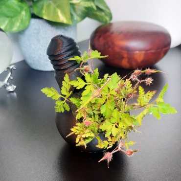 Bloempot Eureka sur cache-pot.fr