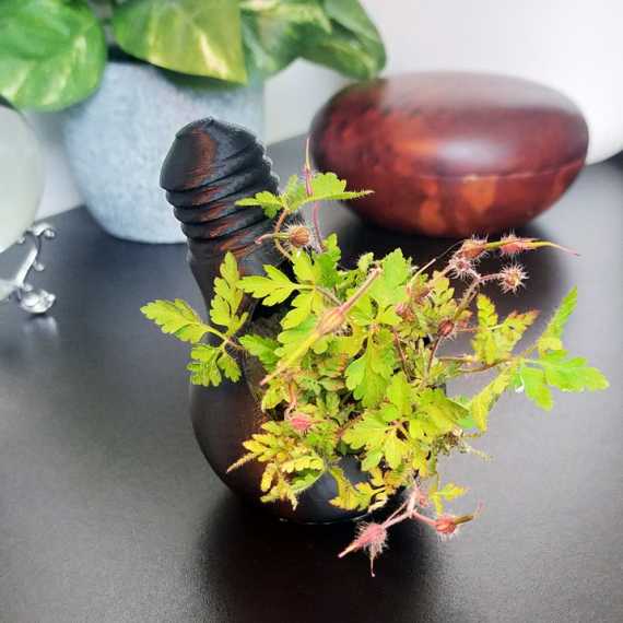 Bloempot Eureka sur cache-pot.fr