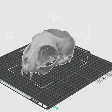 Sierpot Memento Meowi sur cache-pot.fr