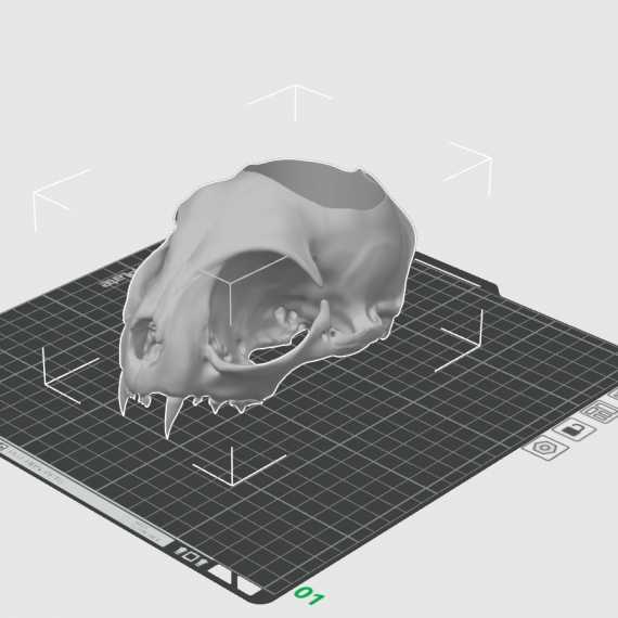 Macetero Memento Meowi sur cache-pot.fr