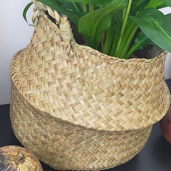 Bohémien Sierpot van riet sur cache-pot.fr