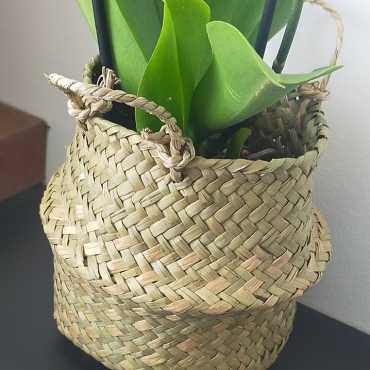 Übertopf im Boho-Stil aus Korbgeflecht sur cache-pot.fr