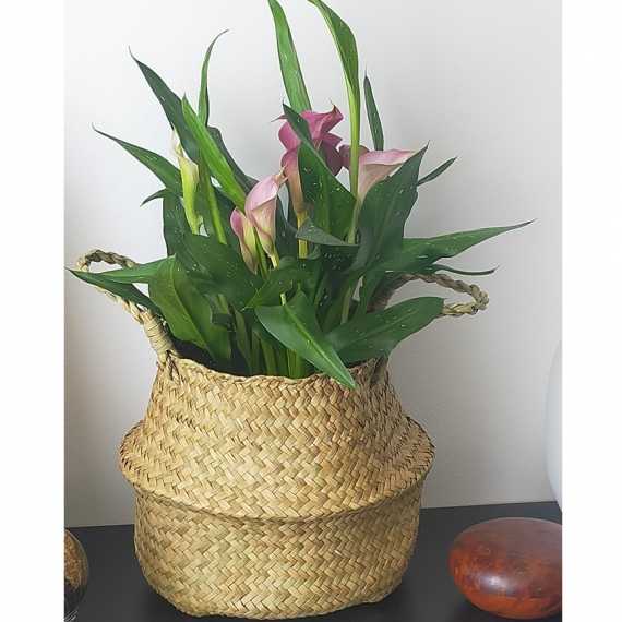 Bohemian Wicker Planter sur cache-pot.fr