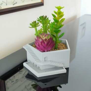 Maceta Domus Aqua sur cache-pot.fr