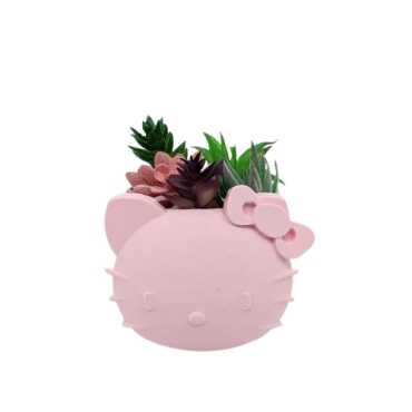 Sierpot Hello Kitty sur cache-pot.fr