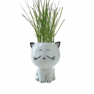 Little Cat Plant Pot sur cache-pot.fr