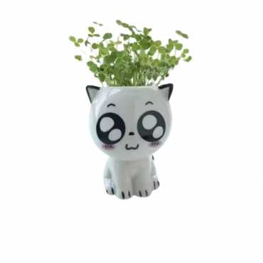 Vaso piccolo gatto sur cache-pot.fr