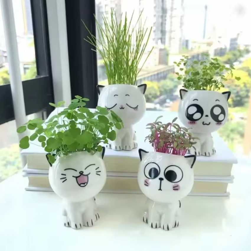 Maceta Gatito sur cache-pot.fr