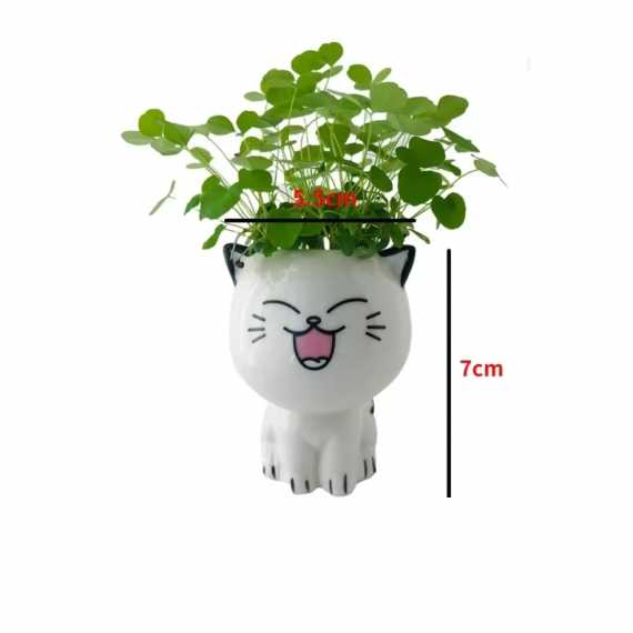 Little Cat Plant Pot sur cache-pot.fr