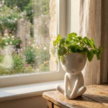 Kodama planter cover sur cache-pot.fr