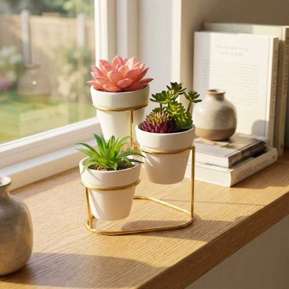 Sierpotten Golden Bloom sur cache-pot.fr