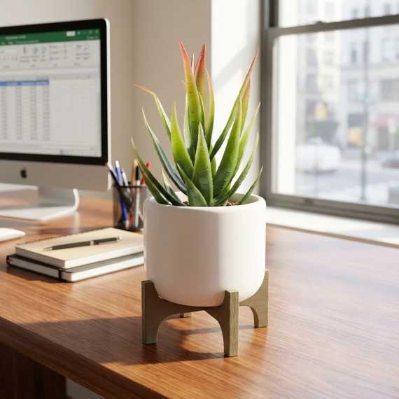 Topf Quadra sur cache-pot.fr