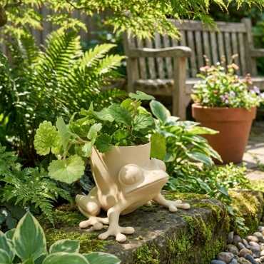 Macetero Froggy sur cache-pot.fr