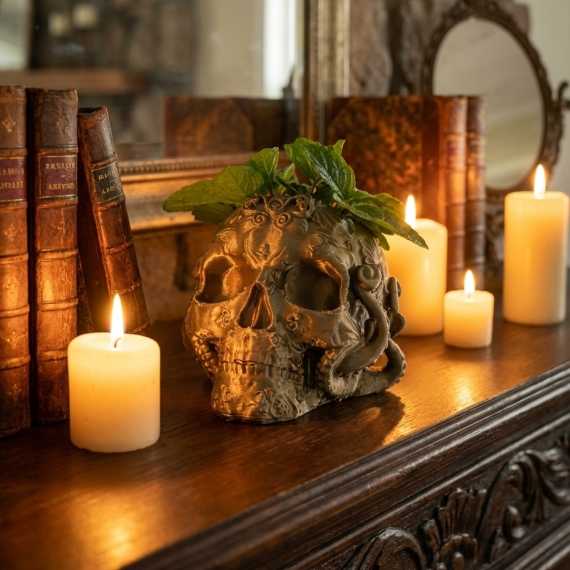 Macetero Octoskull sur cache-pot.fr