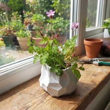 Bloempot Lito sur cache-pot.fr