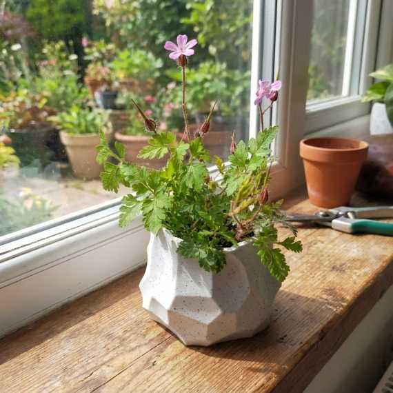 Bloempot Lito sur cache-pot.fr