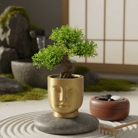 Cache-pot Serenity sur cache-pot.fr