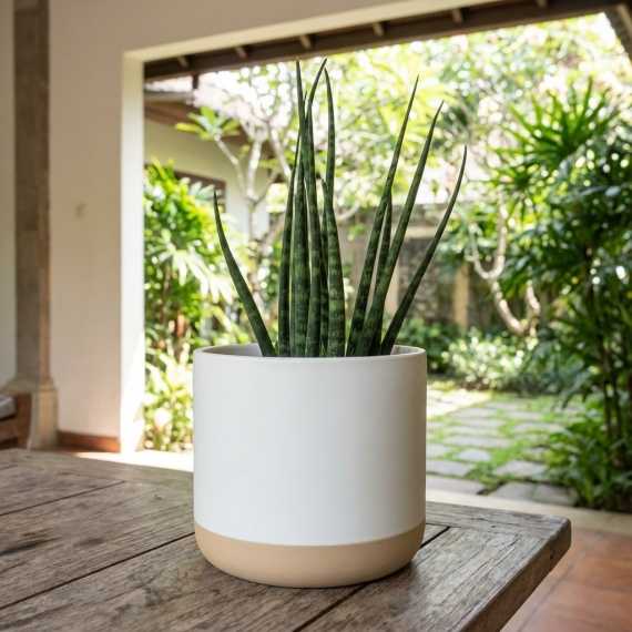 White Wood Planter Cover sur cache-pot.fr