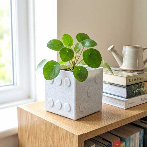 Cache-pot Dado sur cache-pot.fr