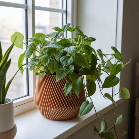 Maceta decorativa Zigloo sur cache-pot.fr